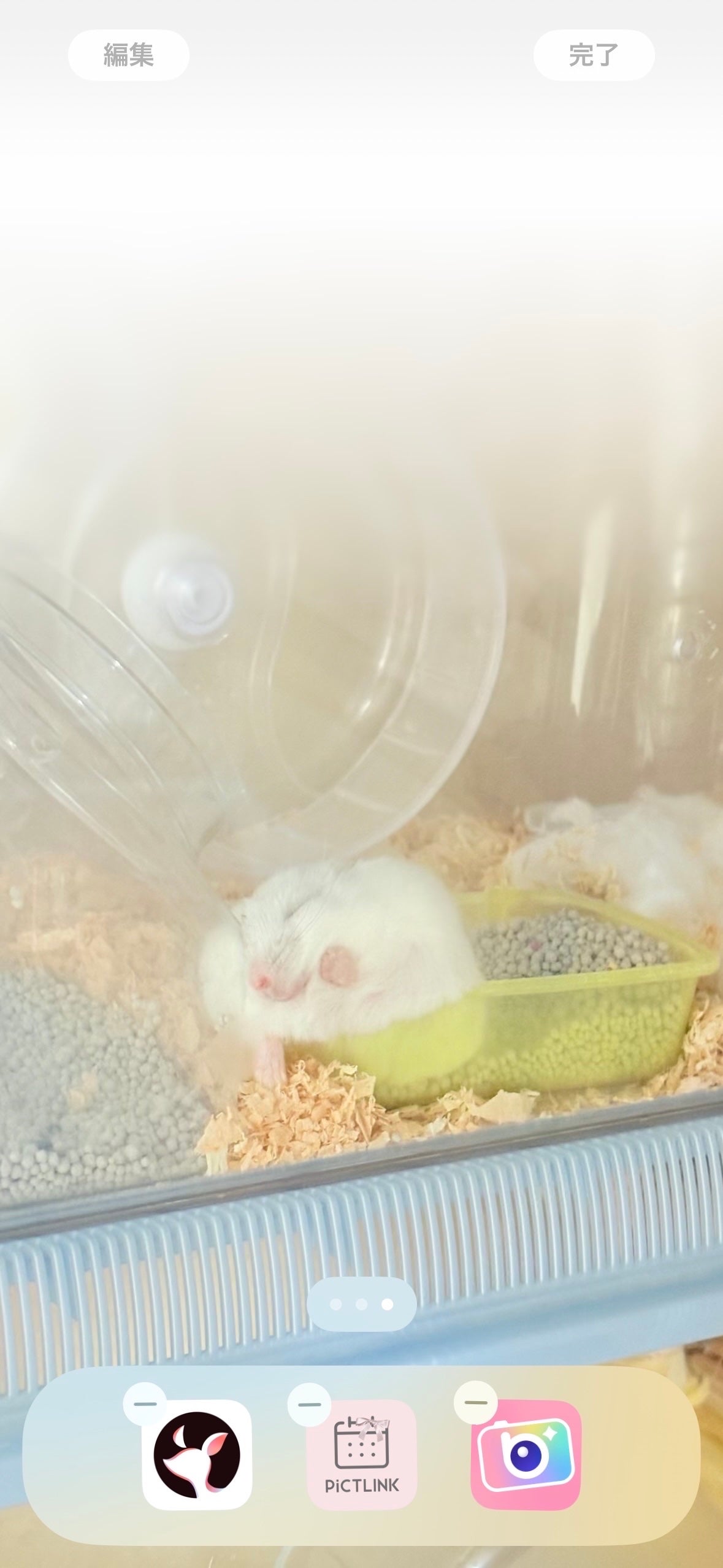 â¥ðð®ð²â¡ð«§ð§žð©° on LIPS ãââââââââââââãã£ã»ãŒïŒããã ããïŒã¿ããã¡ããã®#..ãïŒ2æç®ïŒ