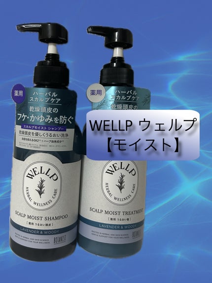 薬用スカルプケアシャンプー/トリートメント モイスト/WELLP/市販シャンプーを使ったクチコミ(1枚目)