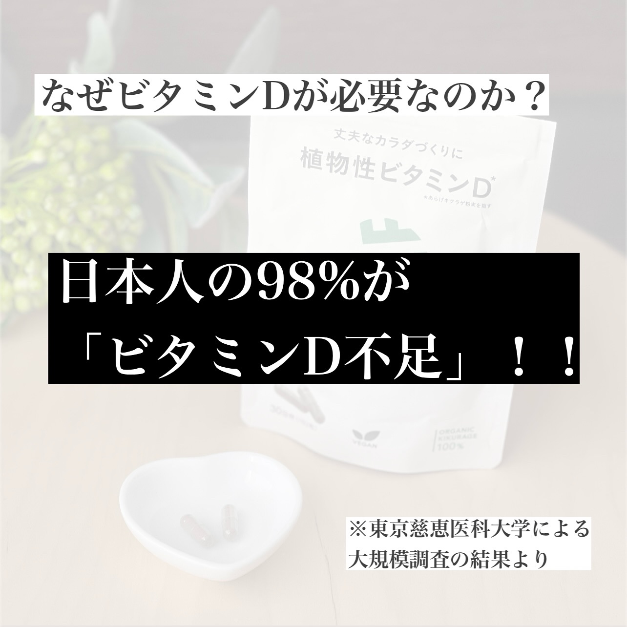 植物性ビタミンD/だいじょうぶなもの/健康サプリメントを使ったクチコミ（3枚目）
