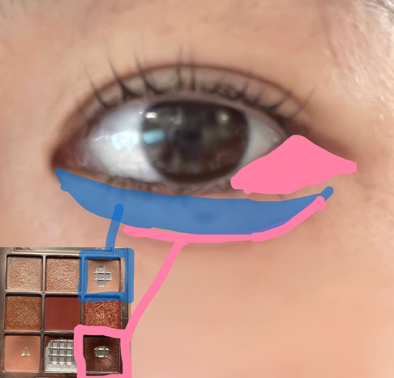 シャドウパレット/dasique/アイシャドウパレットを使ったクチコミ（2枚目）