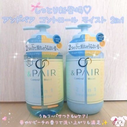 アンドペア コントロール モイスト 2in1 シャンプー&ヘアトリートメント/&PAIR/市販シャンプーを使ったクチコミ(1枚目)