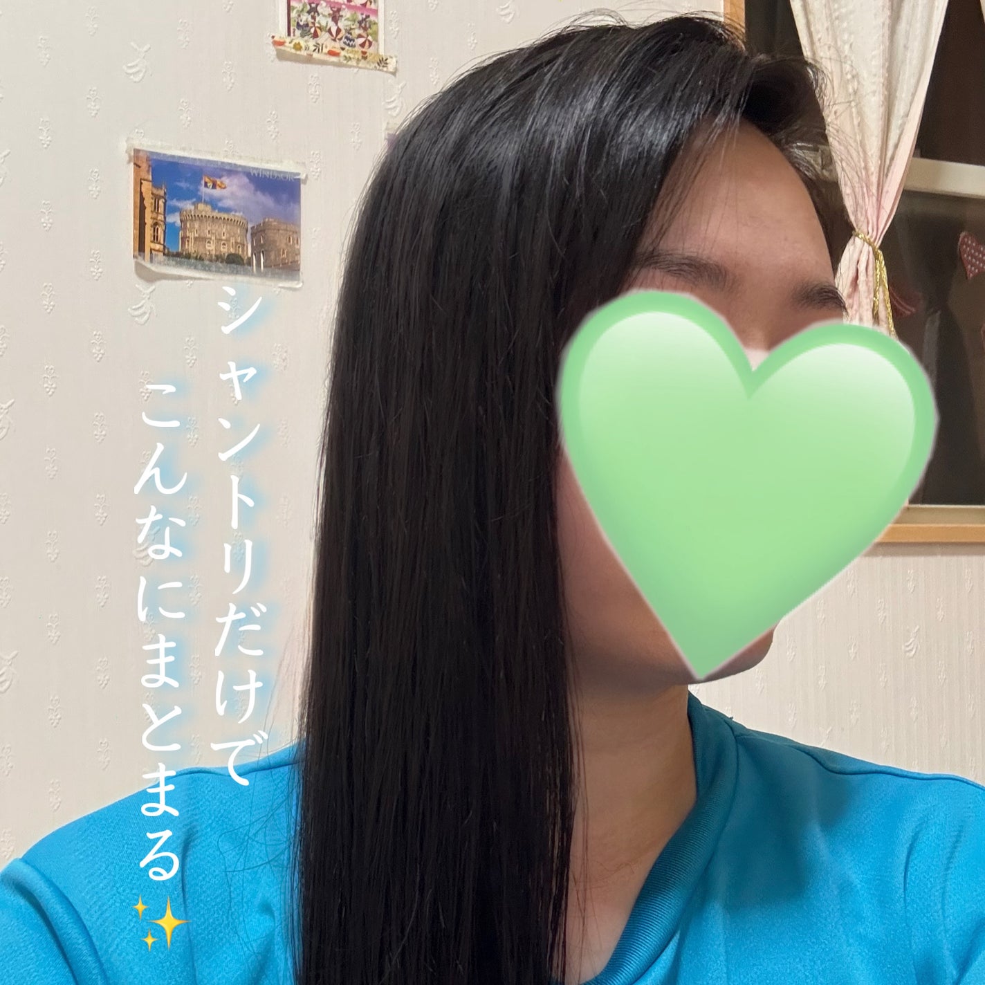 ãã£ã¢ããŒãããã«ãŒã ããŒã«ã  ã¢ã€ã¹ãã£ãŒã€ã³ãã·ã£ã³ããŒ/ããªãŒãã¡ã³ã/ãã£ã¢ããŒã/åžè²©ã·ã£ã³ããŒã䜿ã£ãã¯ãã³ãïŒ2æç®ïŒ