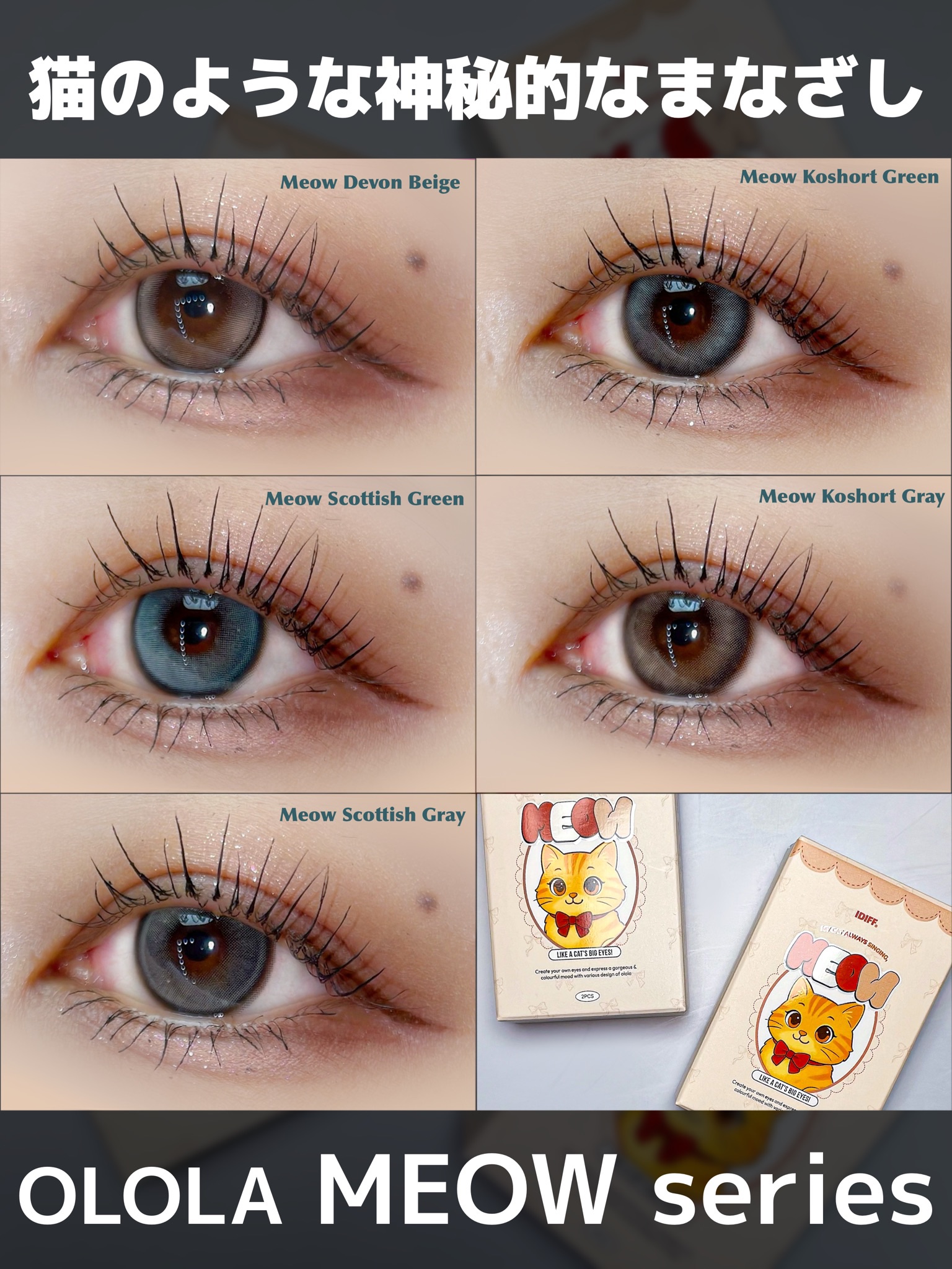 MEOW(ミヤオ) 1month/OLOLA/１ヶ月（１MONTH）カラコンを使ったクチコミ（1枚目）