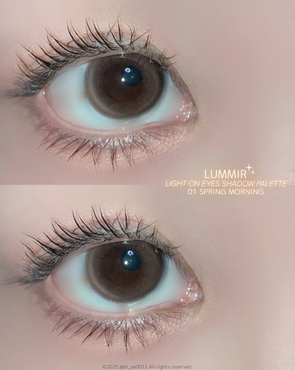 ライトオンアイズシャドウパレット/ルミル/アイシャドウパレットを使ったクチコミ(5枚目)