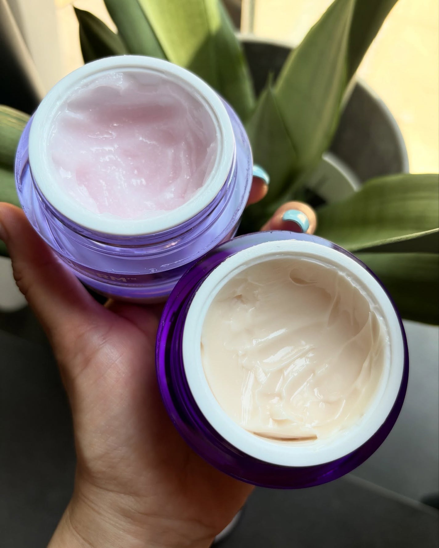 バイオヒールボ プロバイオダーム 3Dリフティングクリーム/BIOHEAL BOH/フェイスクリームを使ったクチコミ(5枚目)