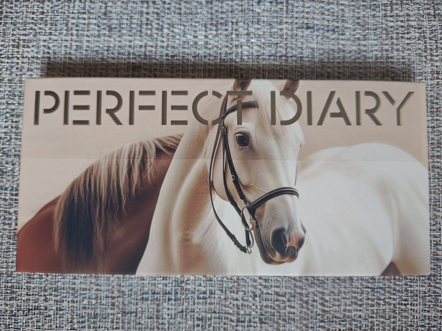 エクスプローラ12色 動物アイシャドウパレット/PERFECT DIARY/アイシャドウパレットを使ったクチコミ(1枚目)