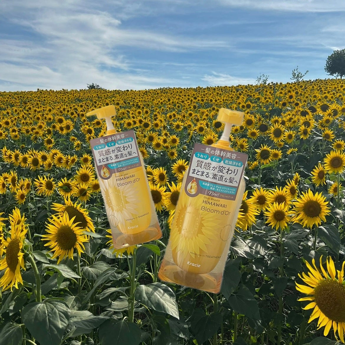 ãã£ã¢ããŒã ãã«ãŒã ããŒã« ã¢ã€ã¹ãã£ãŒã€ã³ ã·ã£ã³ããŒ/ããªãŒãã¡ã³ã/ãã£ã¢ããŒã/åžè²©ã·ã£ã³ããŒã䜿ã£ãã¯ãã³ãïŒ1æç®ïŒ