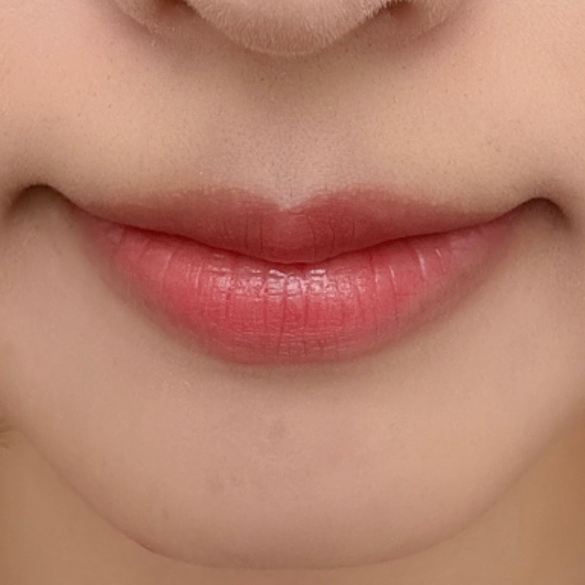 ラスティング リップカラーN/CEZANNE/口紅を使ったクチコミ(2枚目)