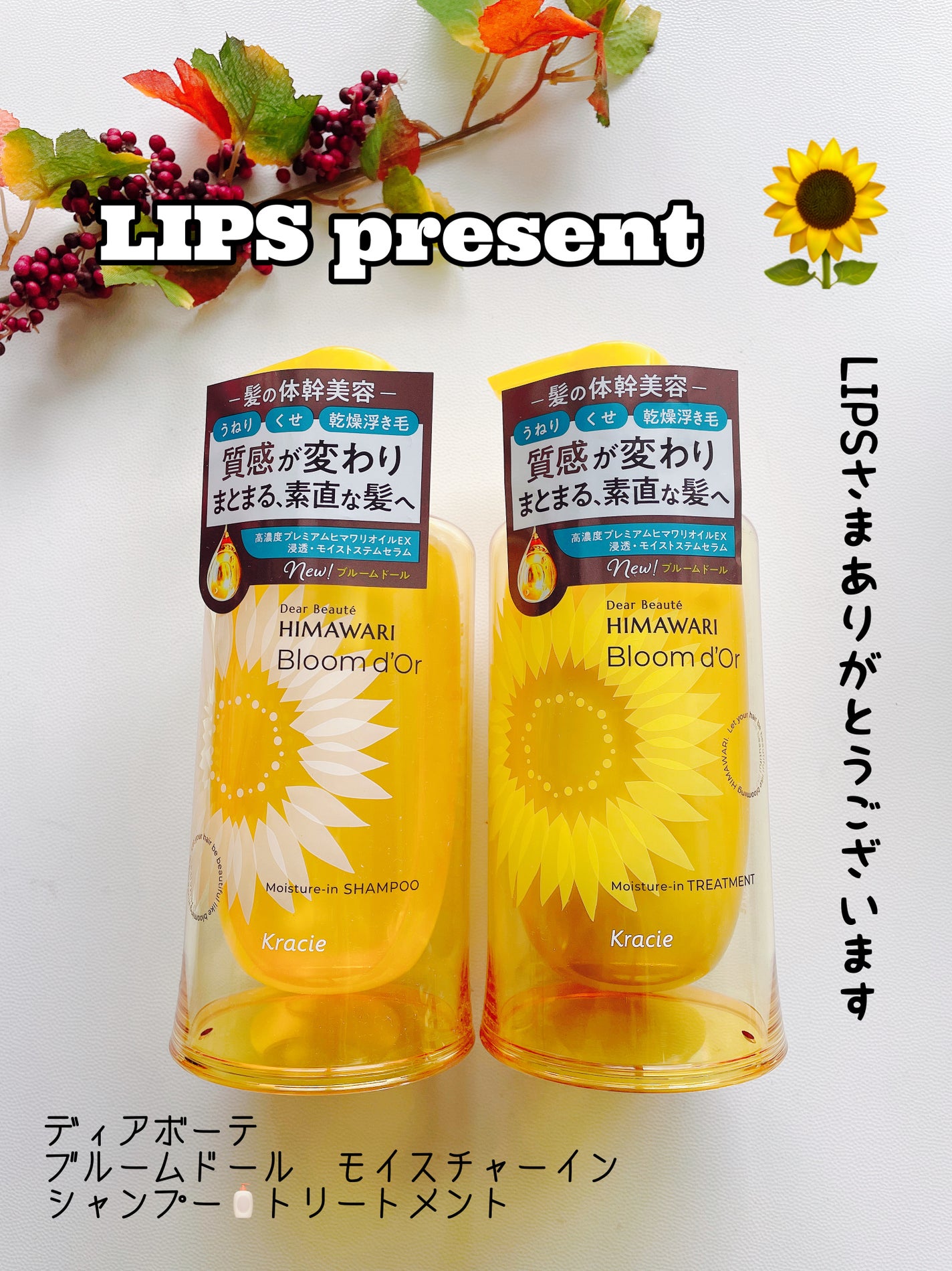 ディアボーテ ブルームドール モイスチャーイン シャンプー/トリートメント/ディアボーテ/市販シャンプーを使ったクチコミ(1枚目)