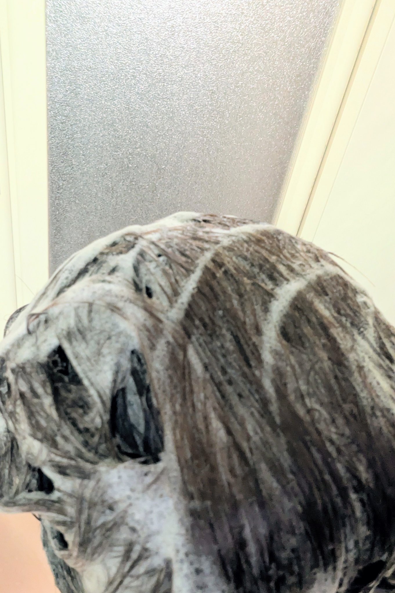 エアリージョン シャンプー/カシー/シャンプー・コンディショナーを使ったクチコミ（2枚目）