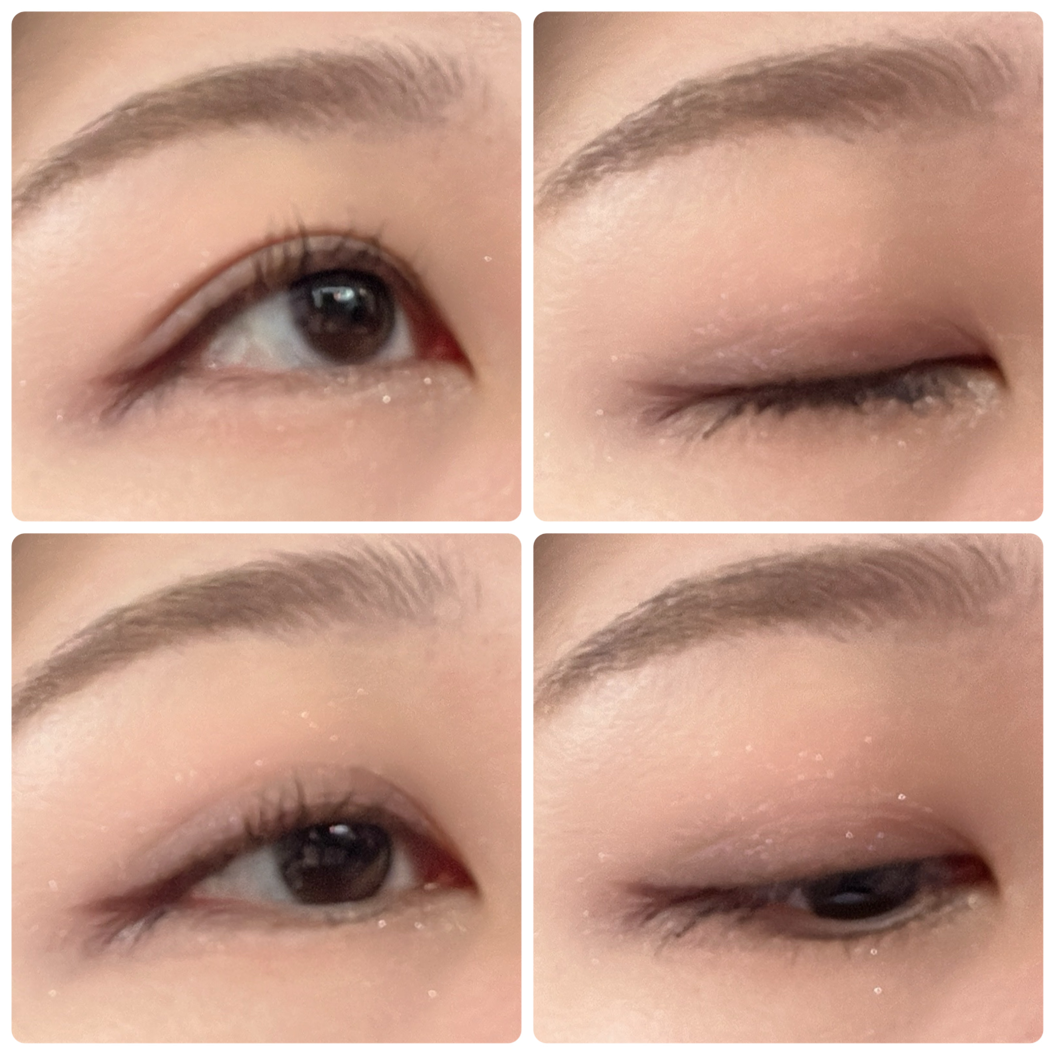 プロ アイ パレット エアー/CLIO/アイシャドウパレットを使ったクチコミ（1枚目）