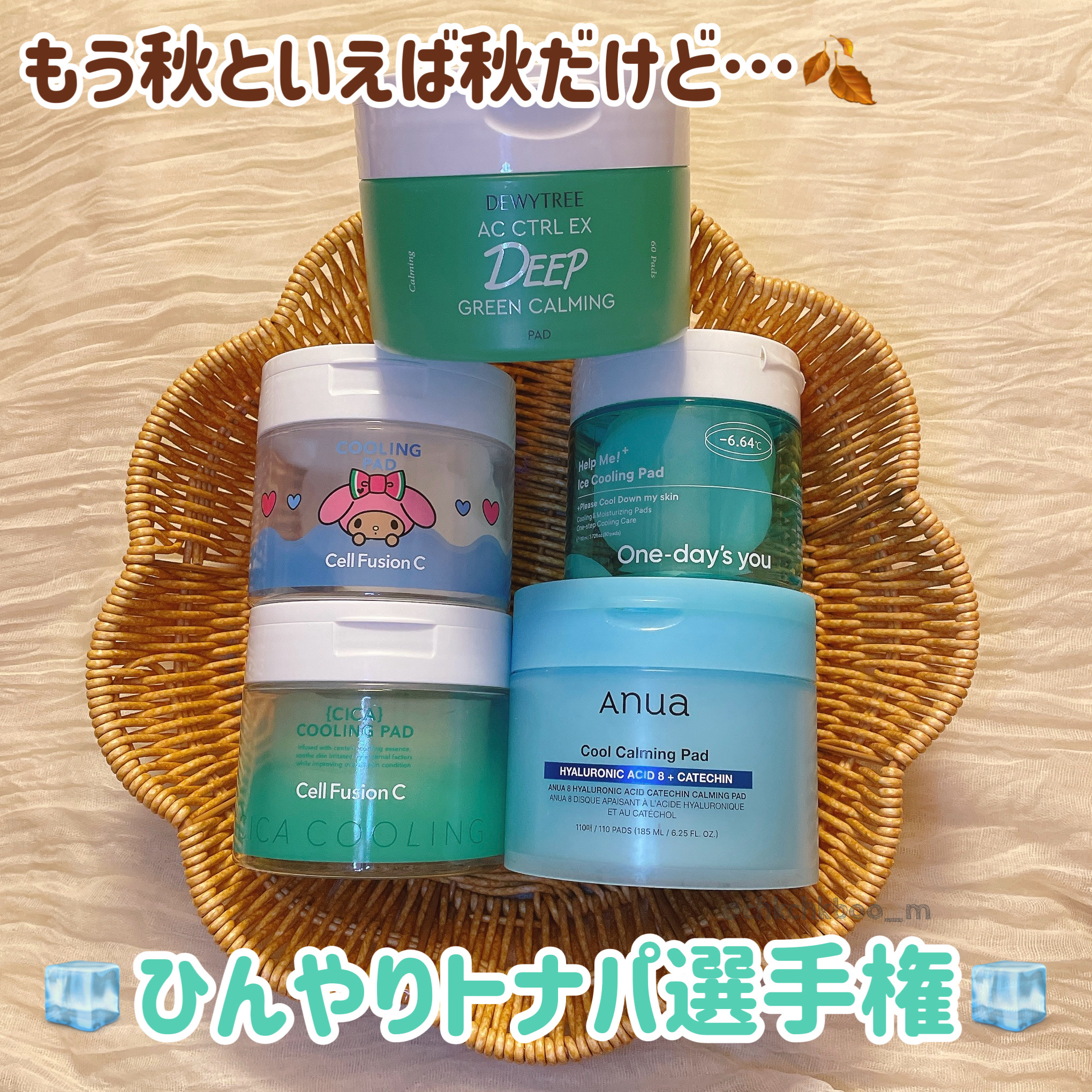 ヘルプミー! アイスクーリングパッド/One-day's you/トナーパッドを使ったクチコミ（1枚目）