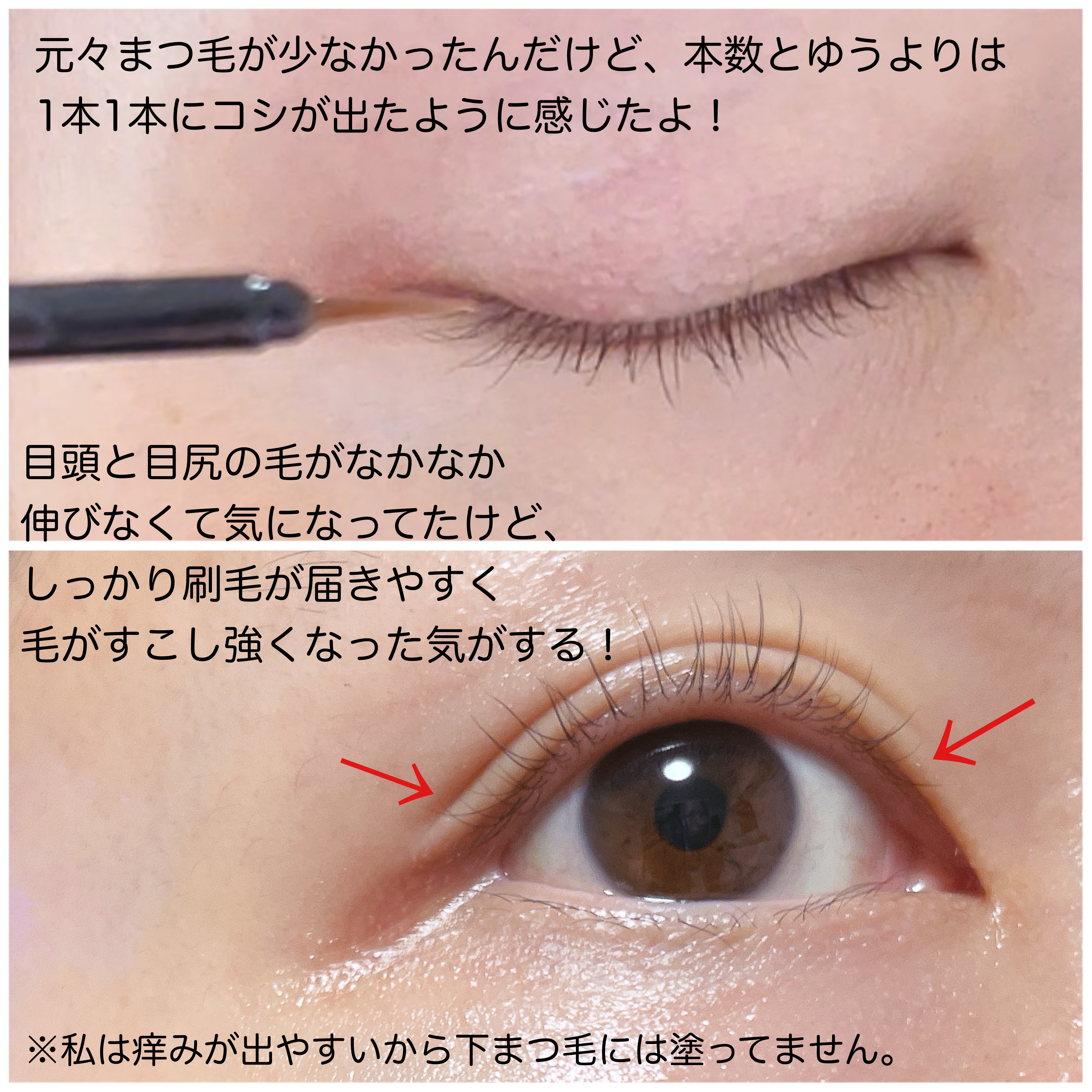 アイラッシュセラム100EX/COSNORI/まつげ美容液を使ったクチコミ（3枚目）
