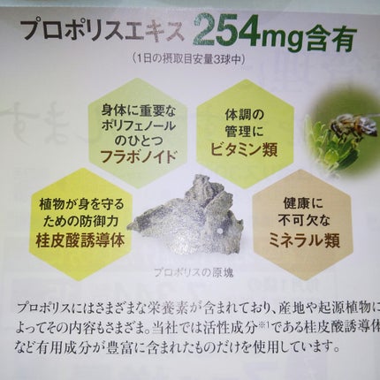 プロポリス300/山田養蜂場(健康食品)/健康サプリメントを使ったクチコミ(3枚目)