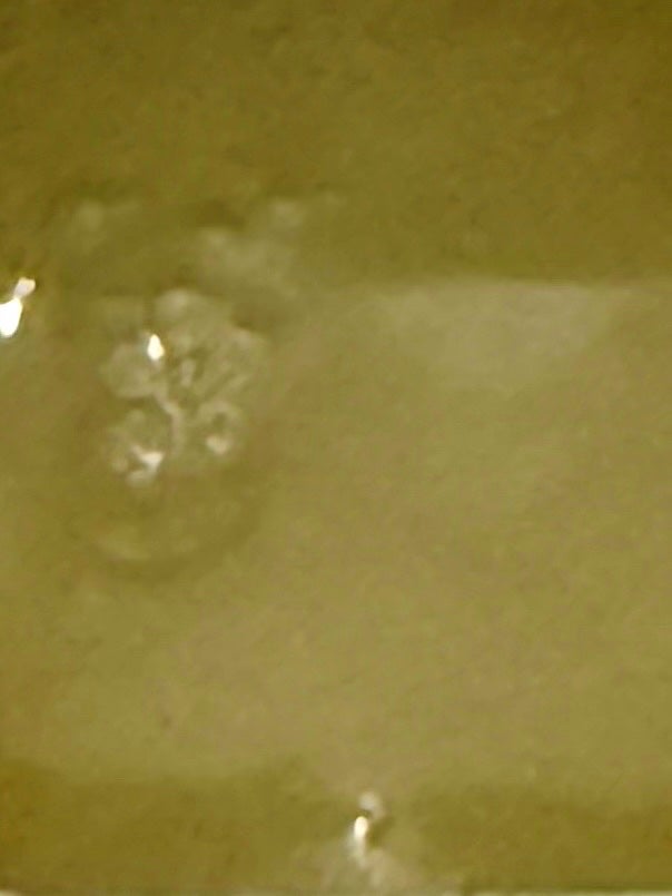 ボールドジェル 心弾けるシトラス&ヴァーベナの香り /ボールド/柔軟剤を使ったクチコミ(2枚目)