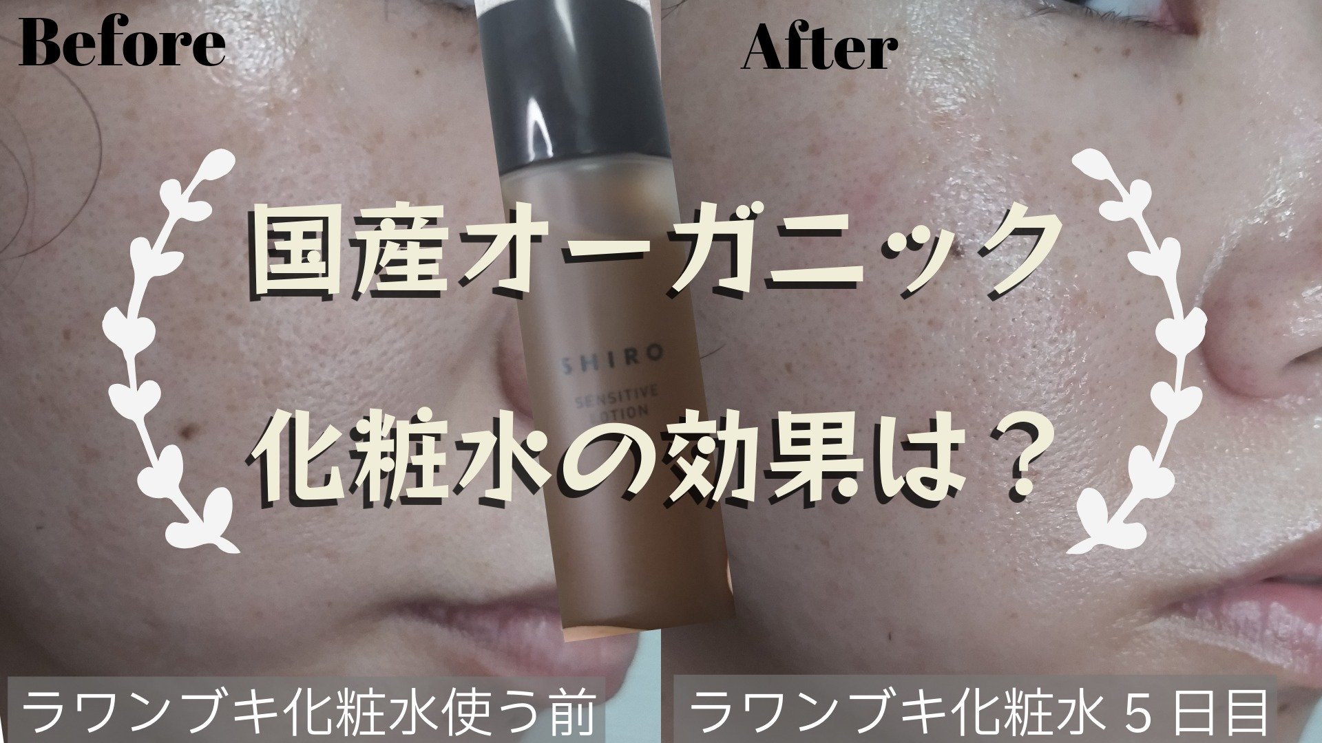 ラワンぶき化粧水/SHIRO/化粧水を使ったクチコミ（1枚目）