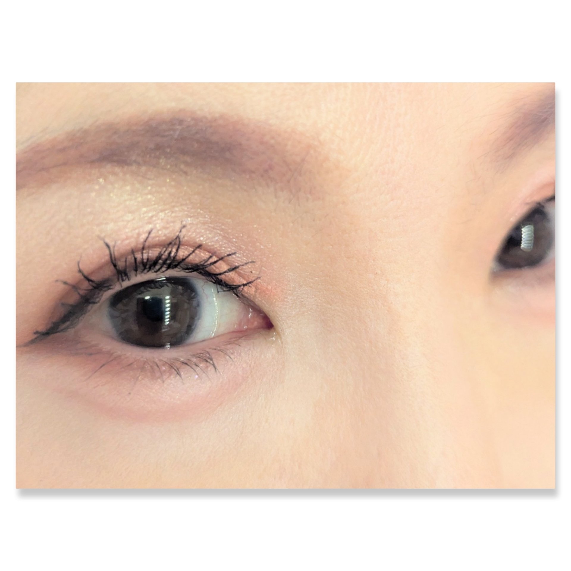 プティパレットアイズ/キャンメイク/パウダーアイシャドウを使ったクチコミ（2枚目）