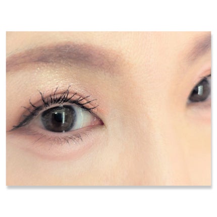 プティパレットアイズ/キャンメイク/パウダーアイシャドウを使ったクチコミ(2枚目)