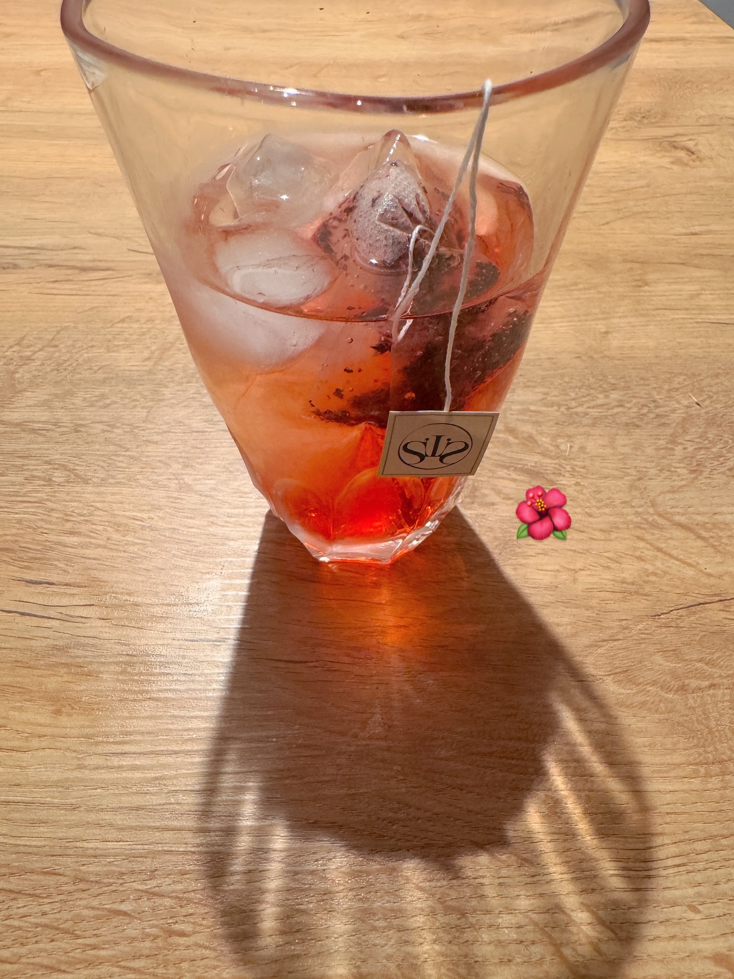 デイリーフィット パンプキンティー/TEASON/美容ドリンクを使ったクチコミ（1枚目）