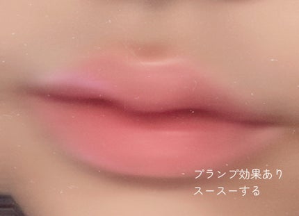 (ル・シャ ボテコレクション)ブラーゼリーボリュームリップティント/Dinto/リップティントを使ったクチコミ(3枚目)