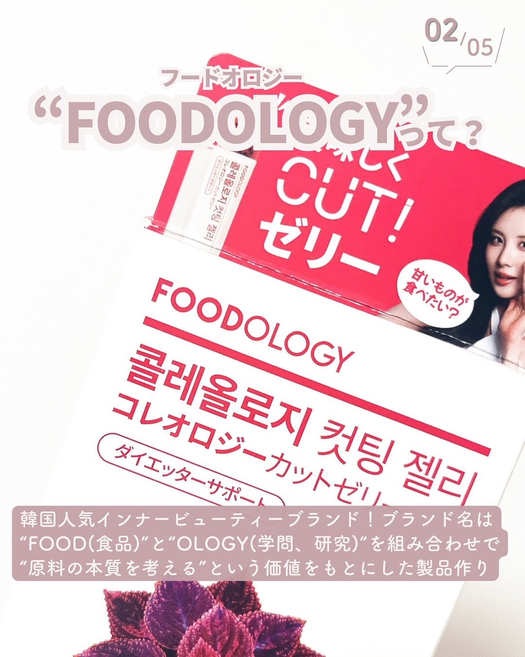 コレオロジーカットゼリー/FOODOLOGY/食品を使ったクチコミ(3枚目)