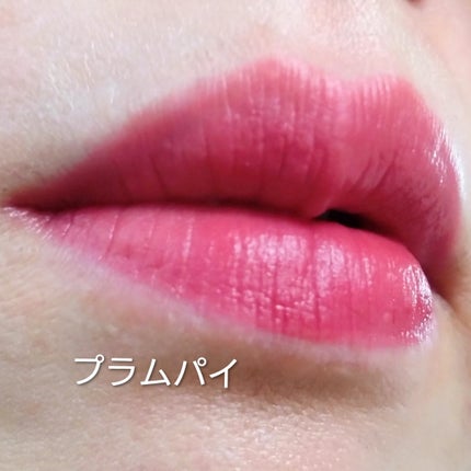 ベルベットシューティント/INGA/リップティントを使ったクチコミ(5枚目)