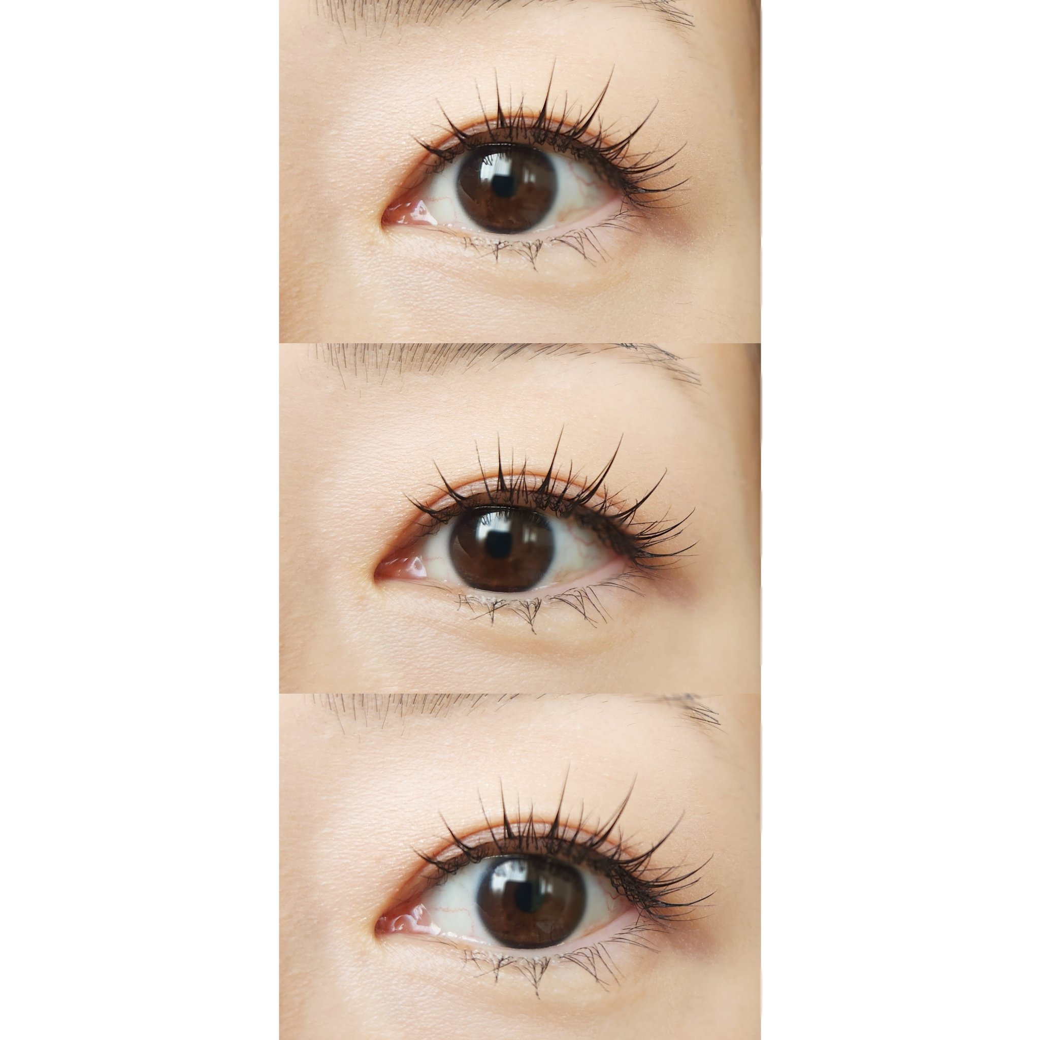 ミッシュブルーミン アイラッシュ インフィニティライン/ミッシュブルーミン/つけまつげを使ったクチコミ（3枚目）