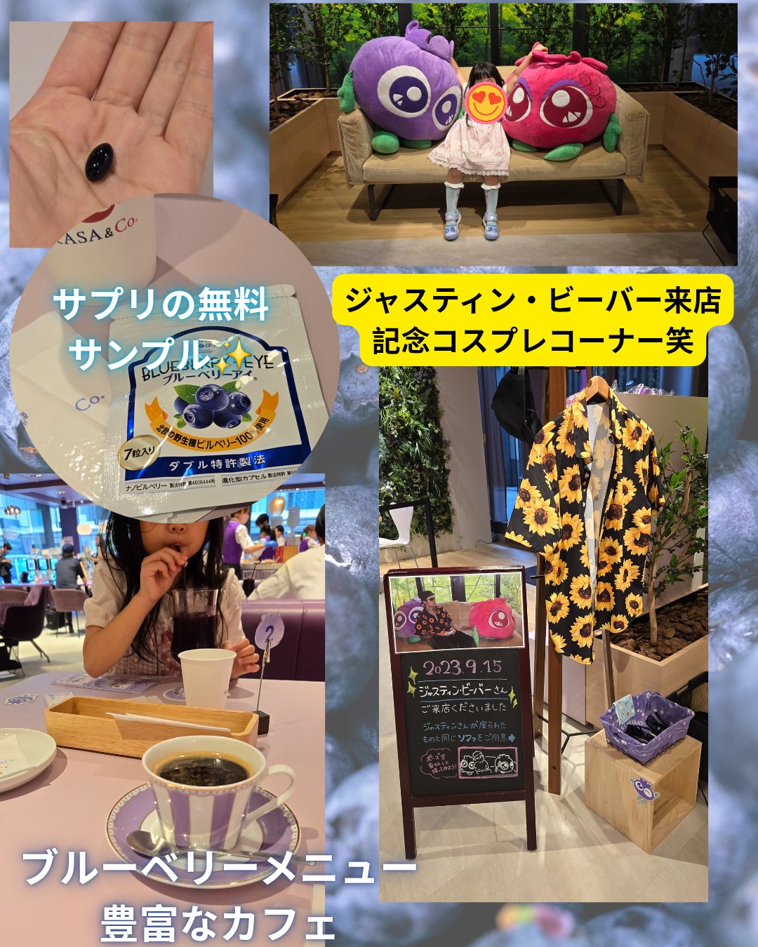 ブルーベリーアイ/わかさ生活/健康サプリメントを使ったクチコミ（2枚目）