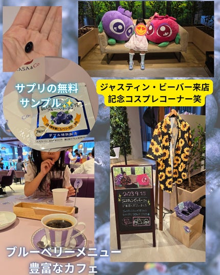 ブルーベリーアイ/わかさ生活/健康サプリメントを使ったクチコミ(2枚目)
