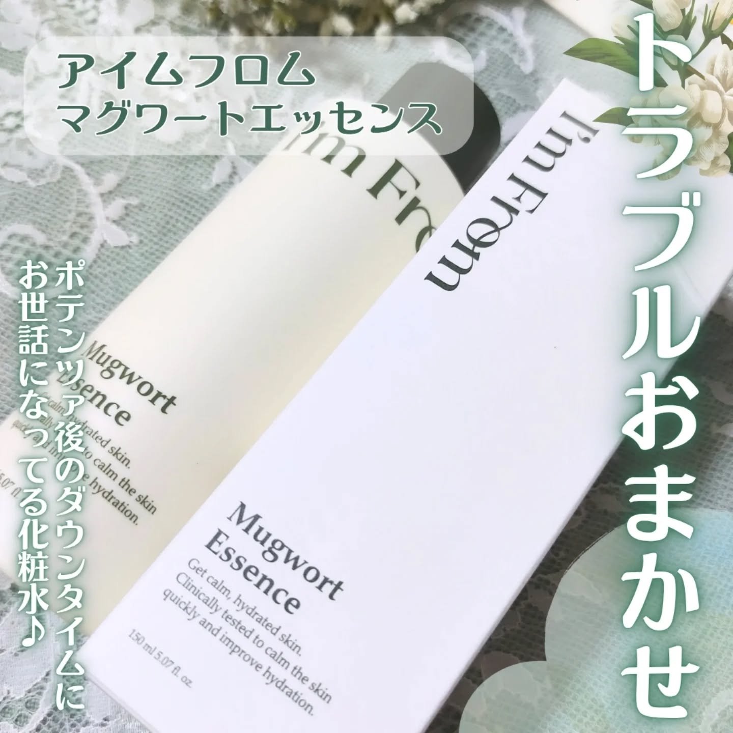 マグワートエッセンス/I'm from/美容液を使ったクチコミ（2枚目）