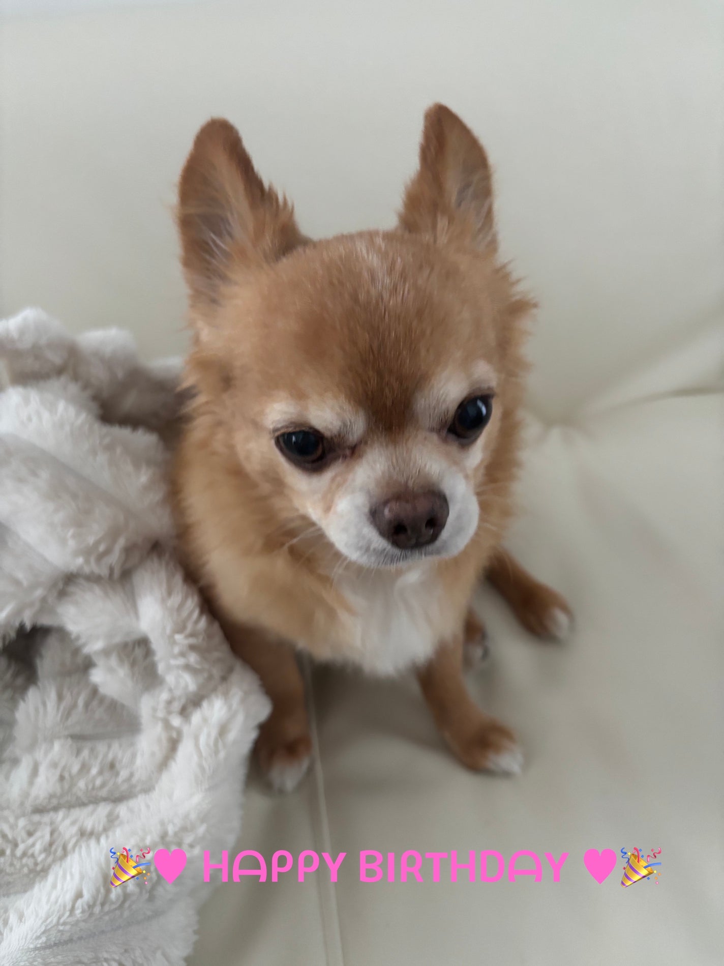 カラフルネイルズ/キャンメイク/マニキュアを使ったクチコミ(6枚目)