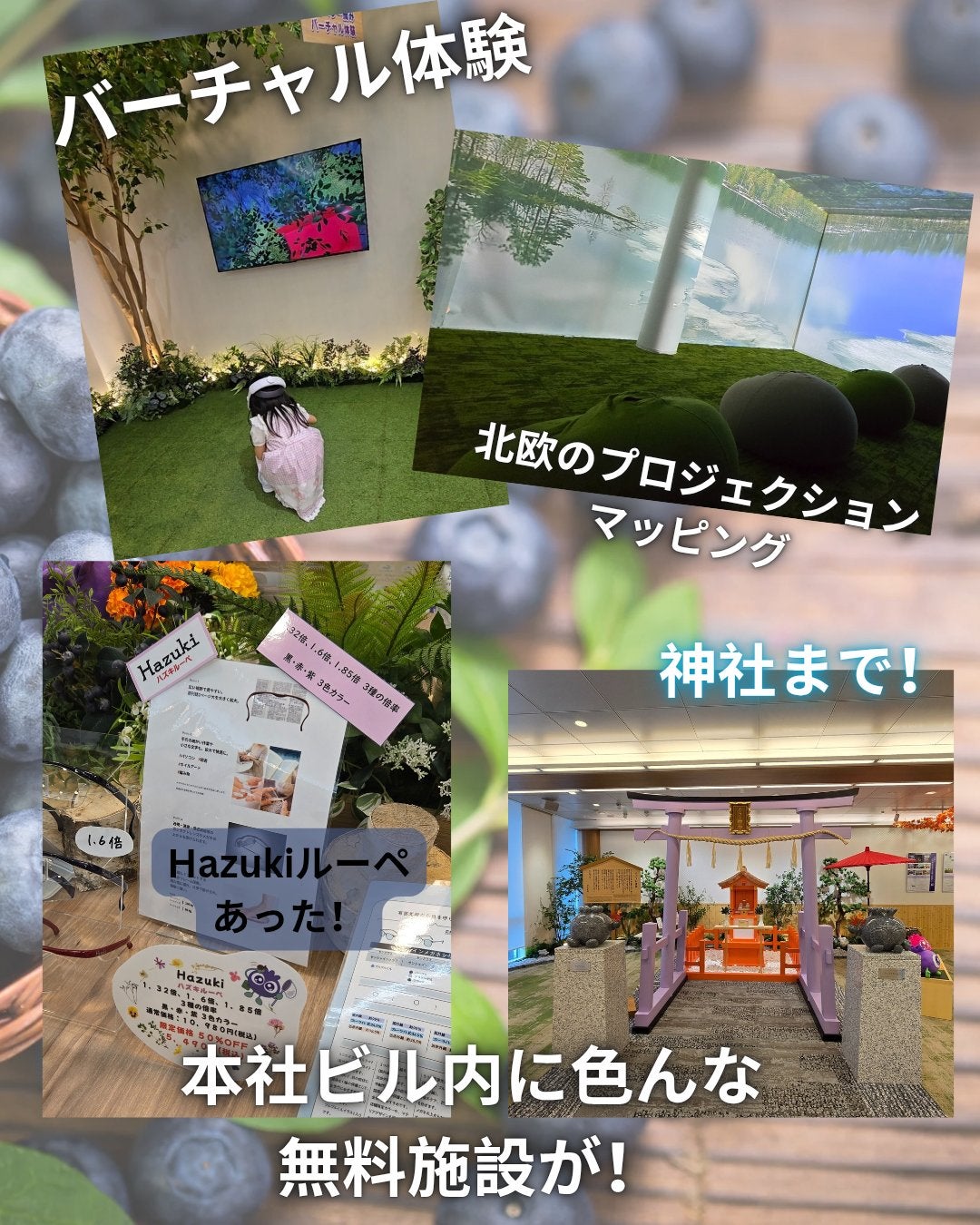 ブルーベリーアイ/わかさ生活/健康サプリメントを使ったクチコミ(3枚目)