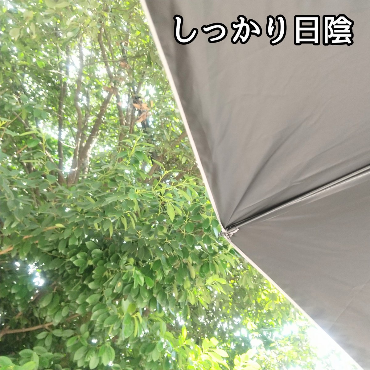 日傘/THE CLASSIC TOKYO/日傘を使ったクチコミ（2枚目）