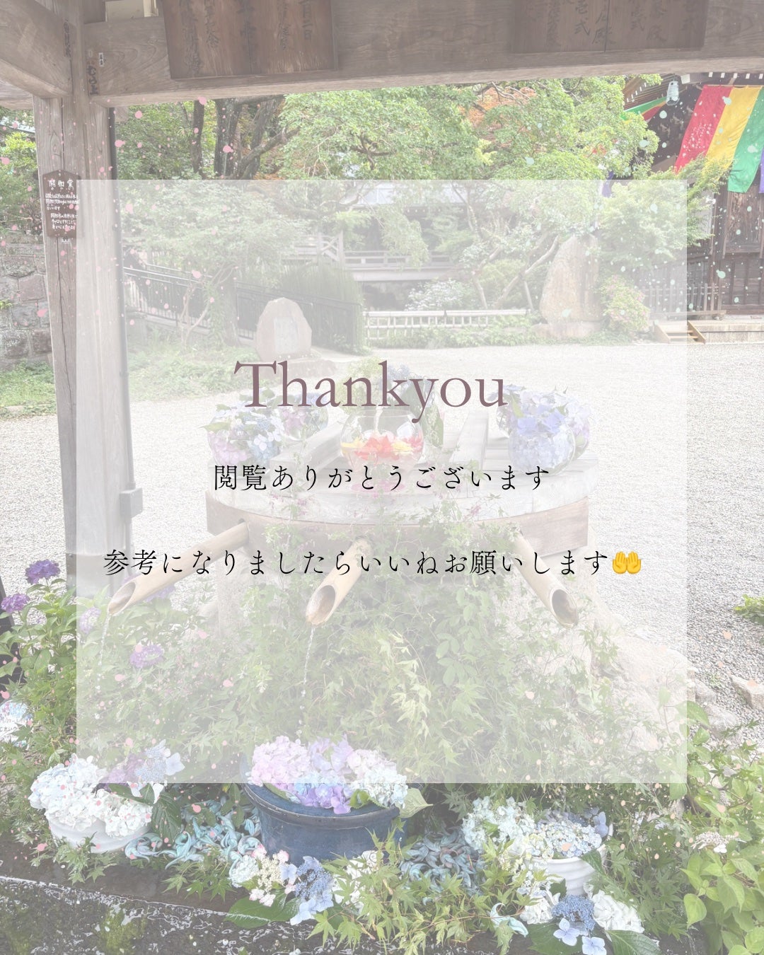 スージングリペア トーニングパッド/ダーマファーム/トナーパッドを使ったクチコミ(5枚目)