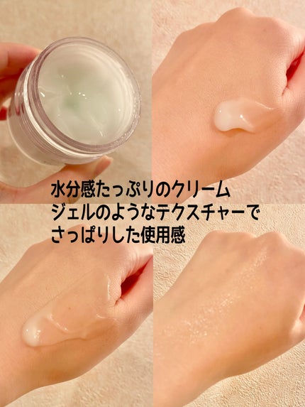 1番 塗るパントテン酸スージングクリーム/numbuzin/フェイスクリームを使ったクチコミ(2枚目)