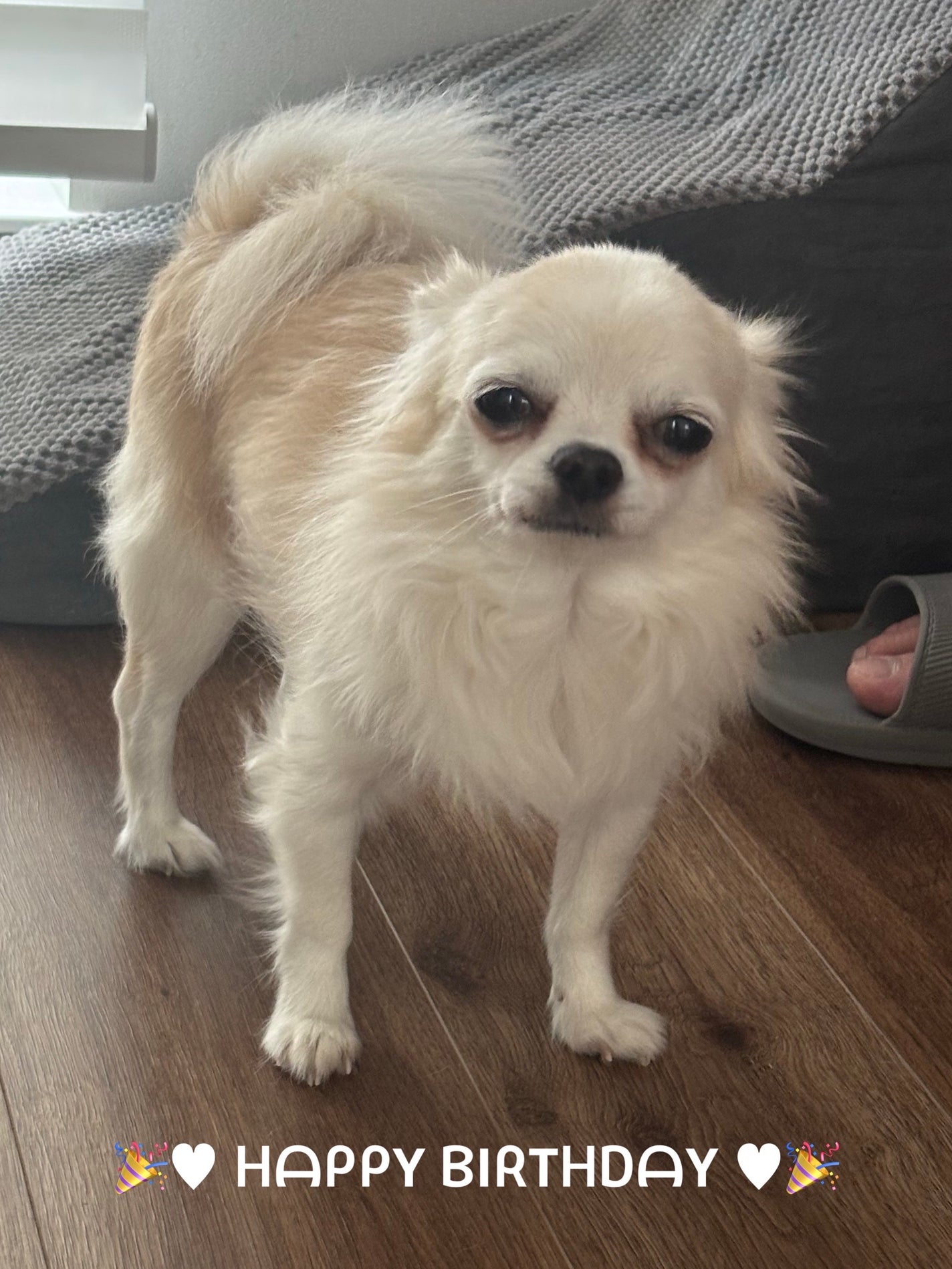 カラフルネイルズ/キャンメイク/マニキュアを使ったクチコミ(7枚目)