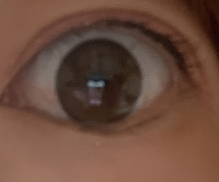 mimi charme 1day/mimi charme/ワンデー（１DAY）カラコンを使ったクチコミ（3枚目）