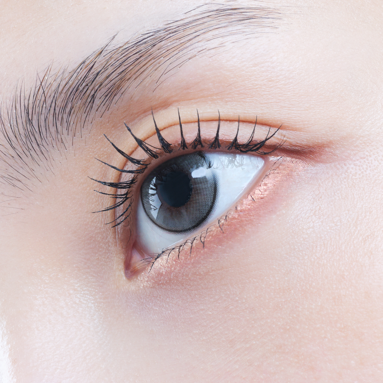 eyestar 1day スターフレアグレー 