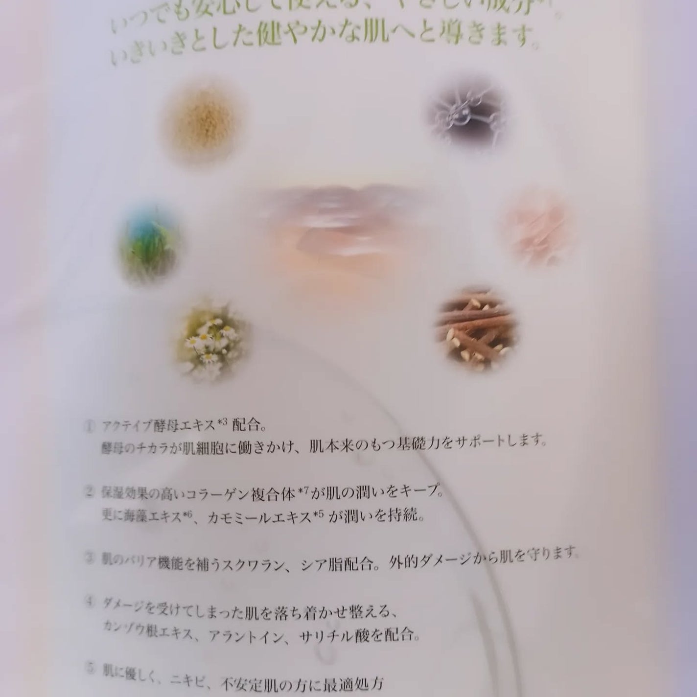 敏感肌用オールインワンジェル/KiBi/オールインワン化粧品を使ったクチコミ(7枚目)