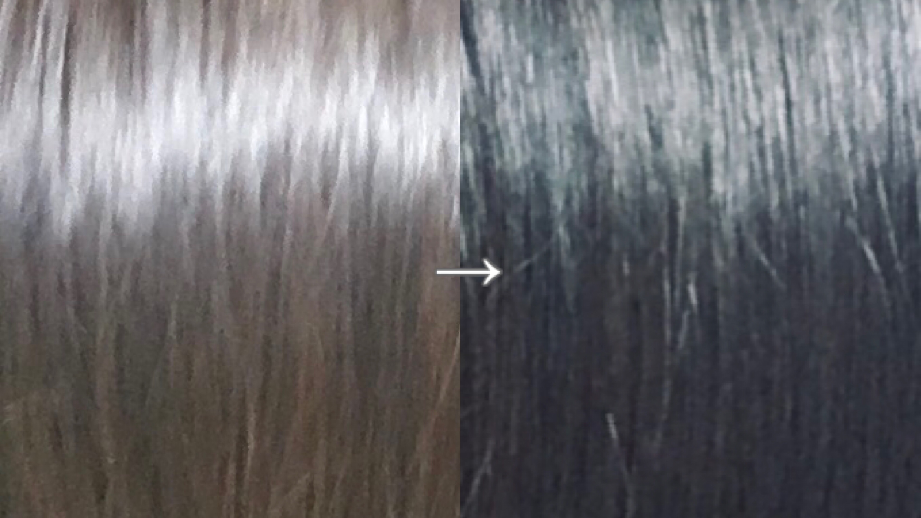 ウエラトーン エッセンスイン カラートリートメント アッシュブラック/ウエラ/ヘアカラーを使ったクチコミ（2枚目）