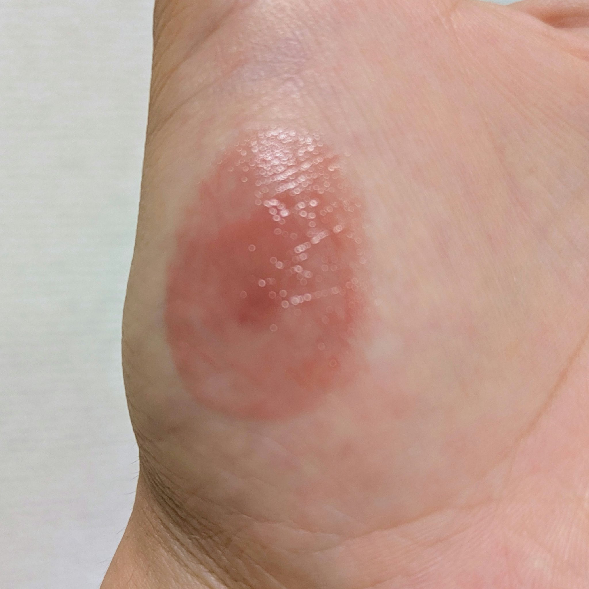 ケイト リップモンスター/KATE/口紅を使ったクチコミ（3枚目）