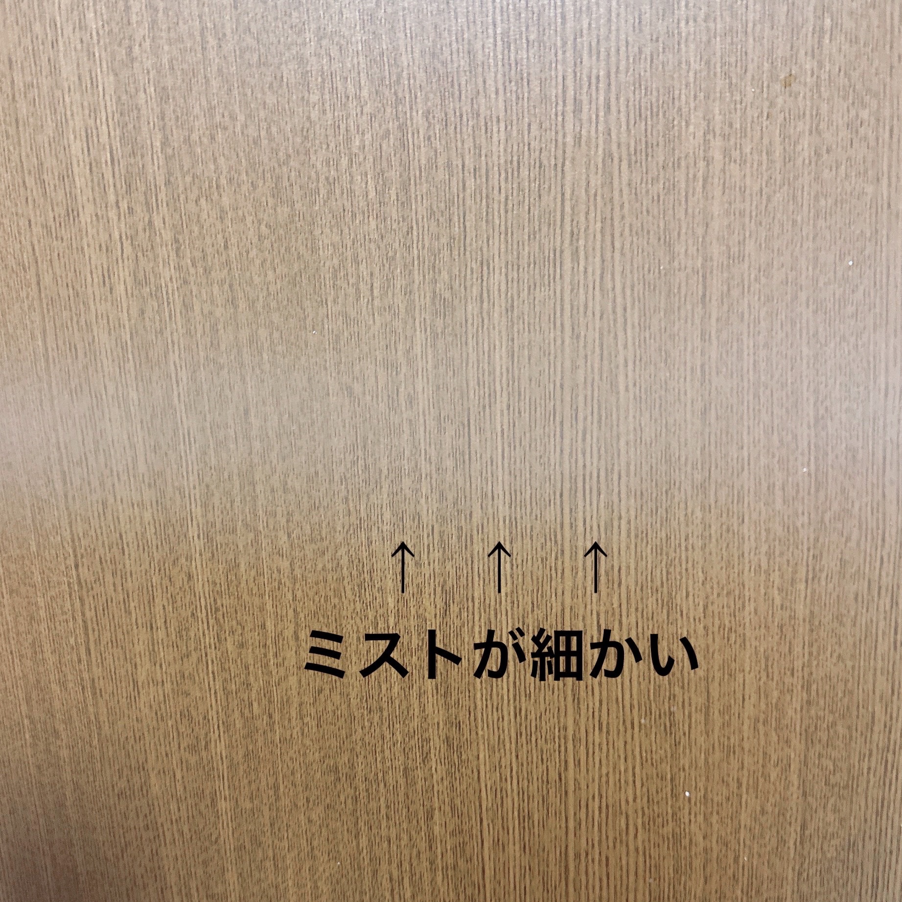 リシェール バイ ベネフィーク スタイルフィックス ヘアスプレー/BENEFIQUE/ヘアミストを使ったクチコミ（3枚目）