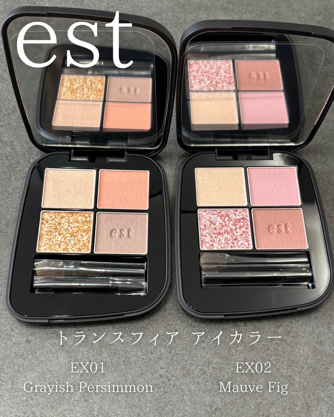 エスト トランスフィア アイカラー EX01 Grayish Persimmon /est/アイシャドウパレットを使ったクチコミ（2枚目）
