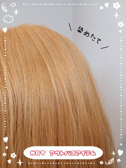 ブリーチ/フレッシュライト/ブリーチ剤を使ったクチコミ(2枚目)