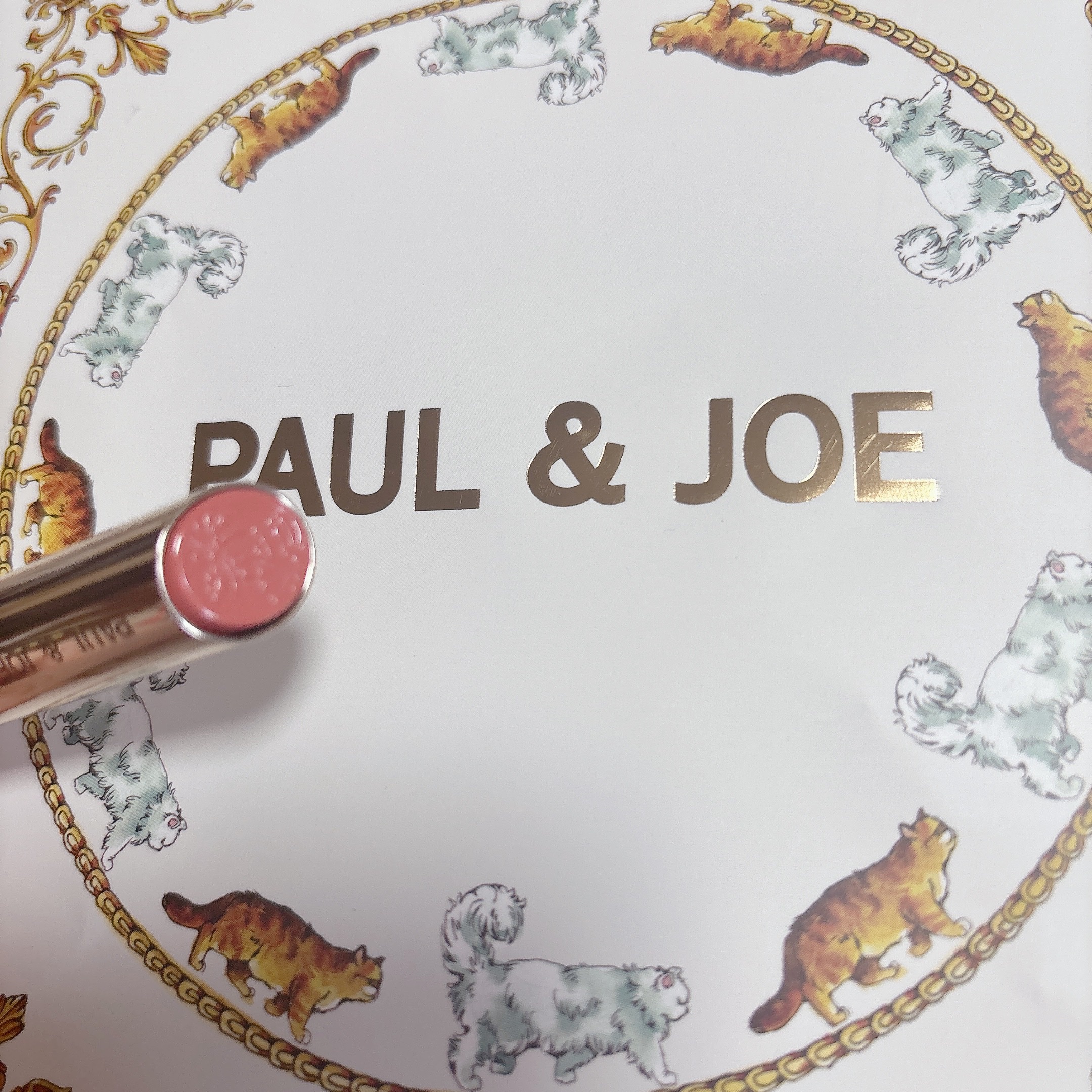 リップスティック/PAUL & JOE BEAUTE/口紅を使ったクチコミ（1枚目）