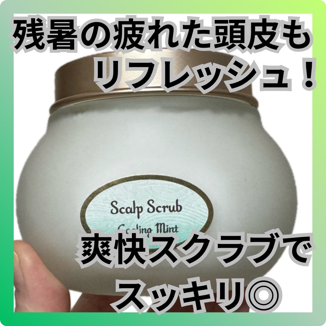 ヘッドスクラブ リフレッシング(ミント)/SABON/ヘッドスクラブを使ったクチコミ(1枚目)