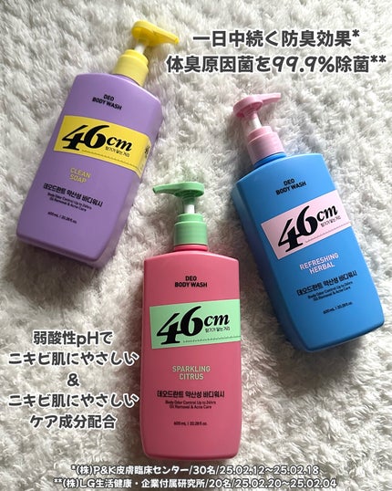 ããã£ãŠã©ãã·ã¥ãã¯ãªãŒã³ãœãŒã/46cm/ããã£ãœãŒãã䜿ã£ãã¯ãã³ãïŒ2æç®ïŒ