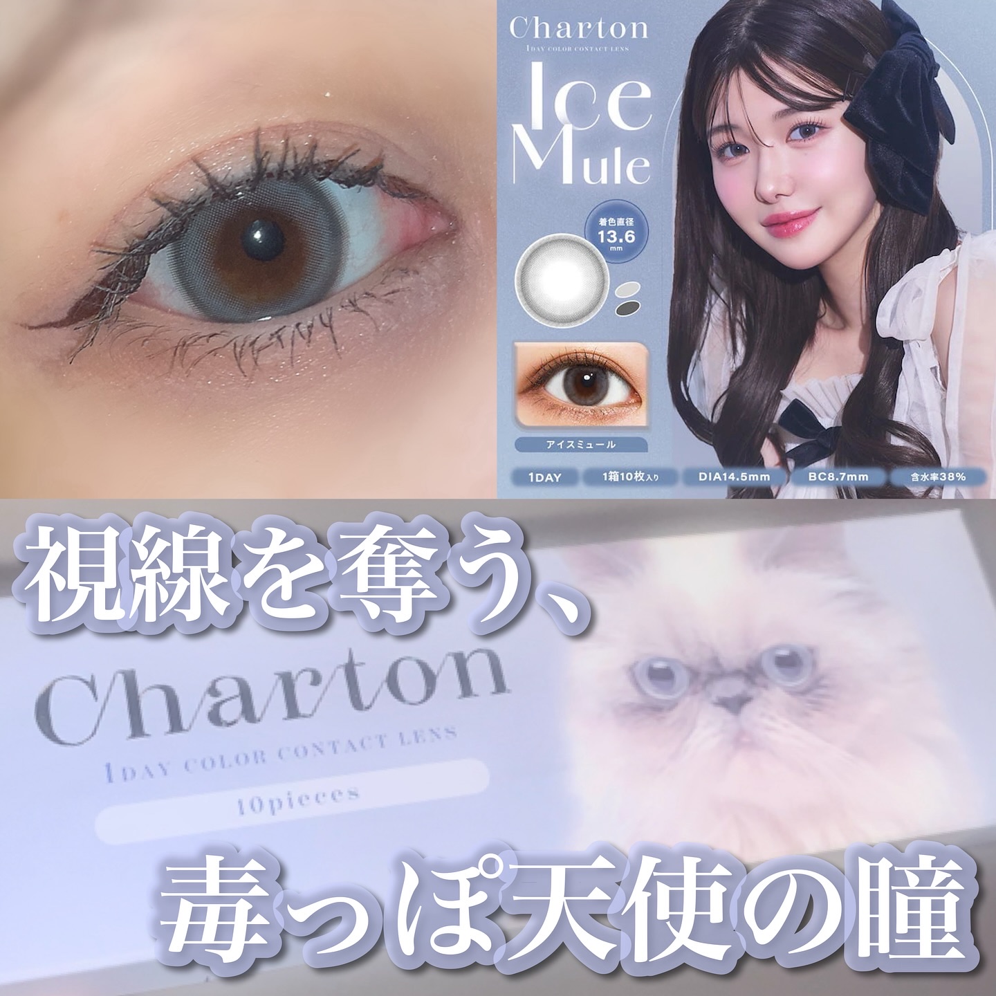 Charton 1day アイスミュール/Charton/ワンデー（１DAY）カラコンを使ったクチコミ（2枚目）