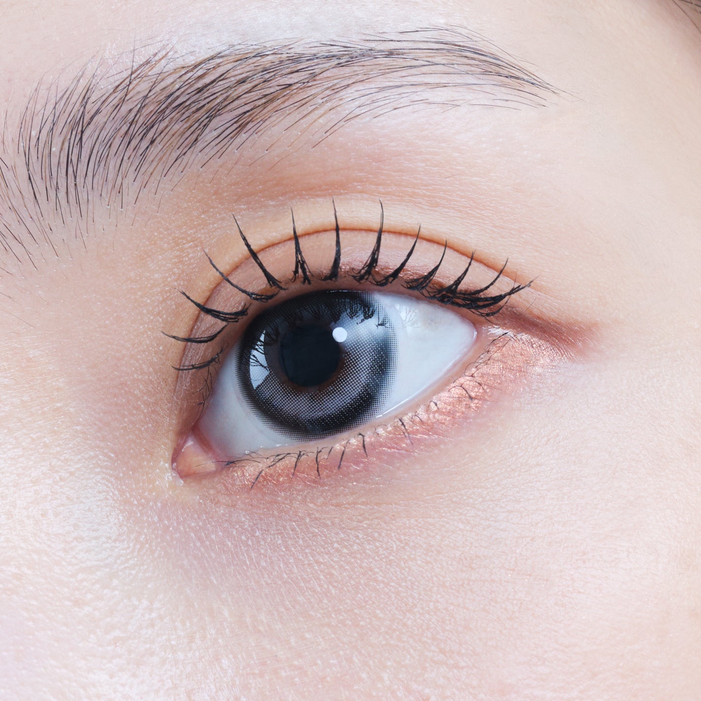 eyestar 1day アイコニックグレー