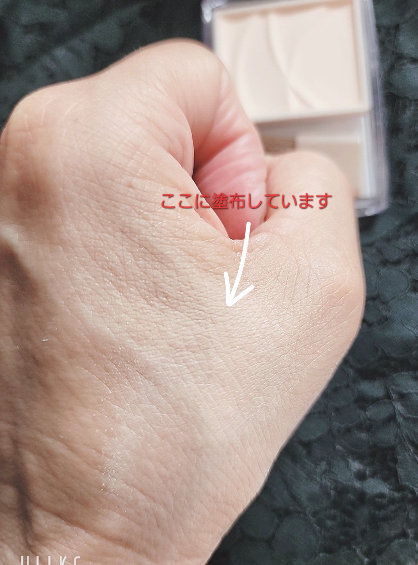 トーンフィルターハイライト/CEZANNE/パウダーハイライトを使ったクチコミ（3枚目）